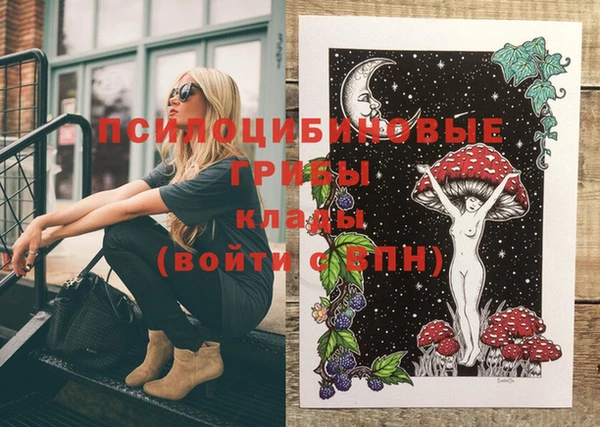 мдпв Белокуриха