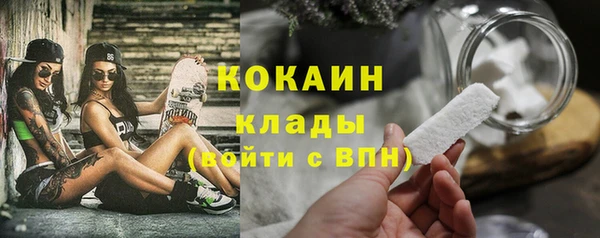 крисы Богородицк