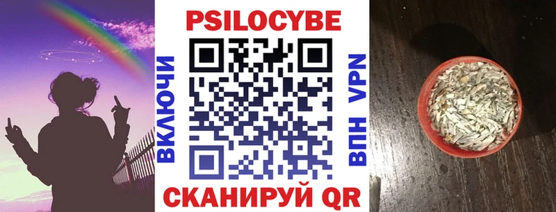 Псилоцибиновые грибы прущие грибы  Каспийск 